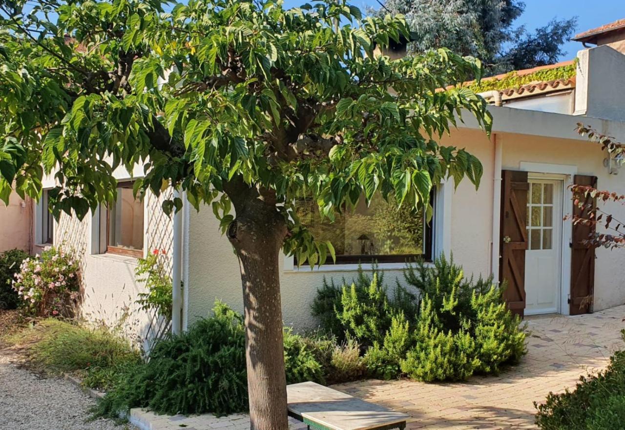 Haus Mit Garten Ueber Der Bucht Von Cannes Валлорис Экстерьер фото